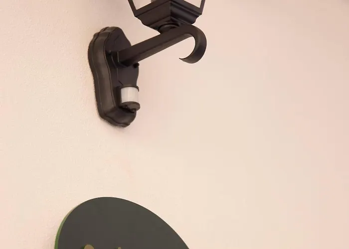 公寓 Seek And Hide - Csilla's Tiny Hideaway 布拉索夫